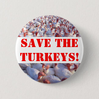 Turkeys Pinback Button