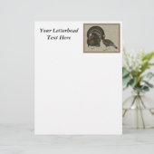 Turkeys Standard Bronze Portrait (Standing Front)