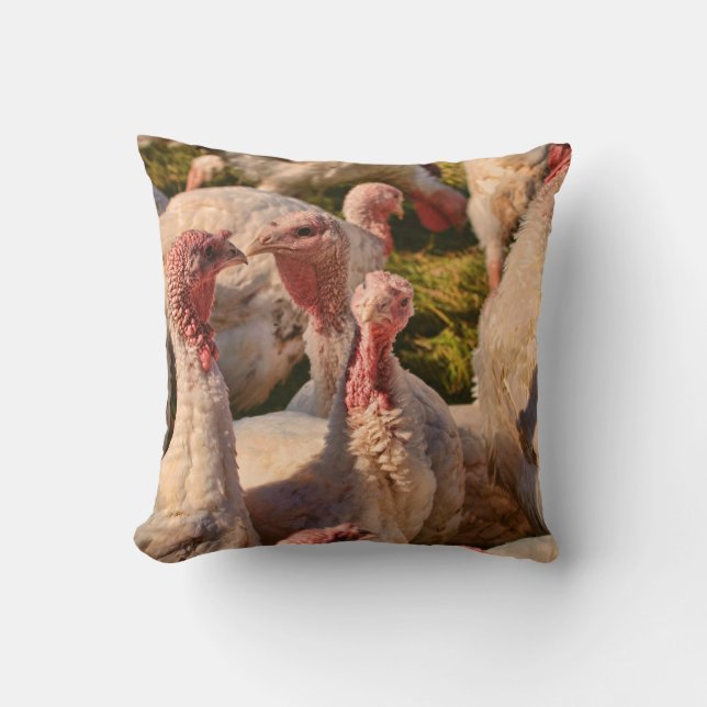 Turkeys Throw Pillow (Front)