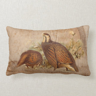Turkie Pillows