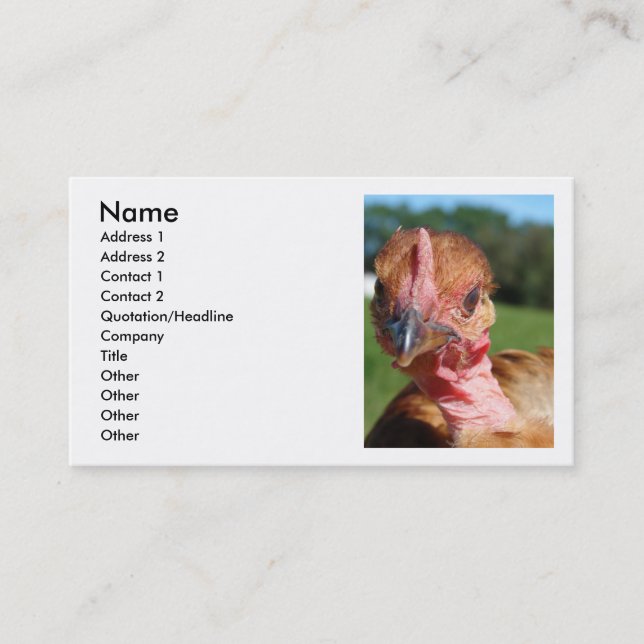 Turkin Pullet Business Card (Front)