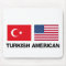 Turkish American