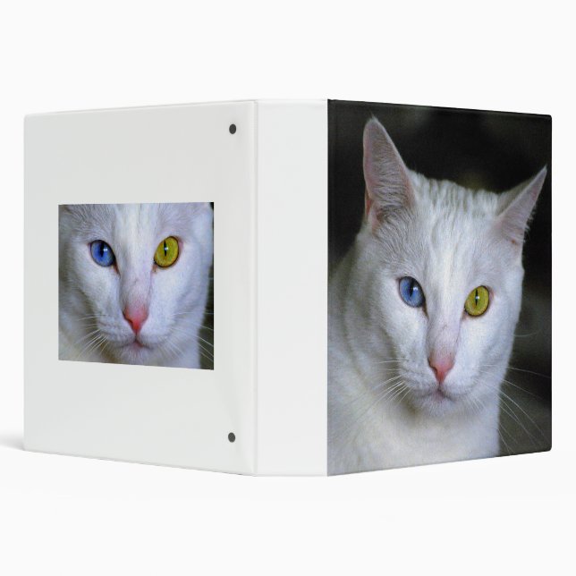 Turkish Angora Cat Binder (Background)