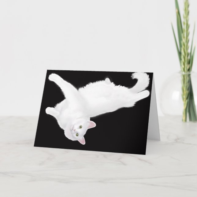 Turkish Angora Cat Lounging Card (Front)