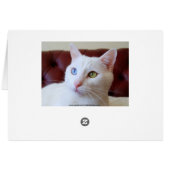 Turkish Angora Cat Odd Eyes Card (Back Horizontal)
