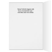 Turkish Angora Cat With Mismatched Eyes Cards (Inside (Left))