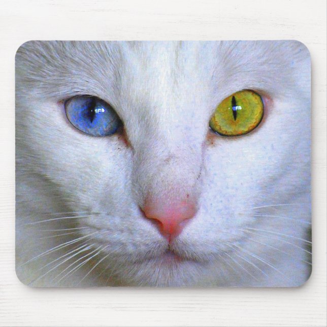Turkish Angora Mousepad (Front)