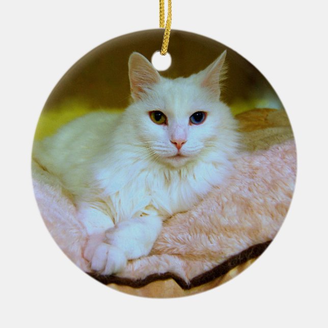 Turkish Angora Princess Cat Ornament (Front)