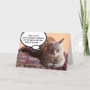 TURKISH CAT IN  TRANSCENDENTAL MEDITATION CARD