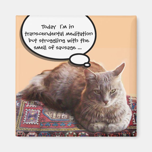 TURKISH CAT IN  TRANSCENDENTAL MEDITATION MAGNET (Front)