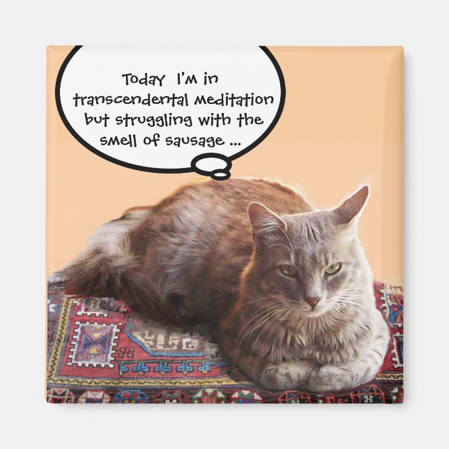 TURKISH CAT IN  TRANSCENDENTAL MEDITATION MAGNET (Front)