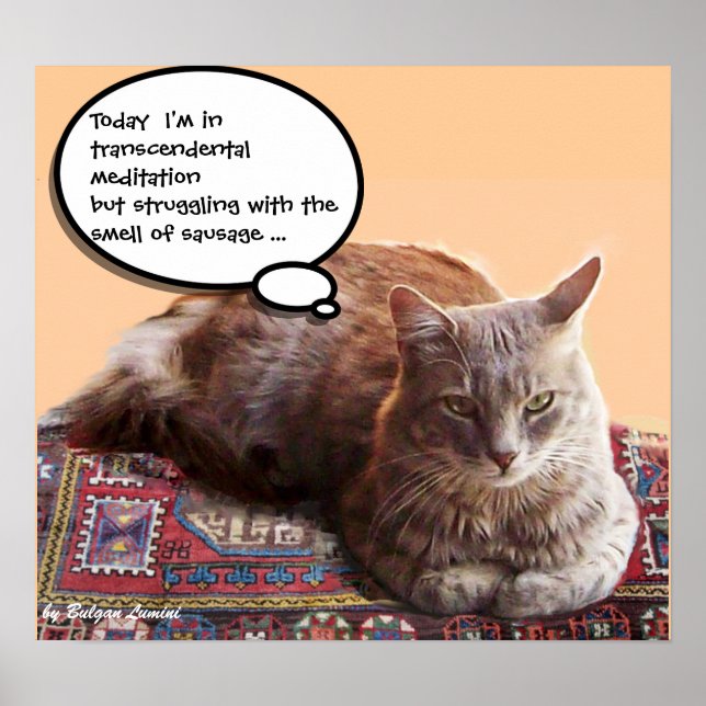 TURKISH CAT IN  TRANSCENDENTAL MEDITATION POSTER (Front)