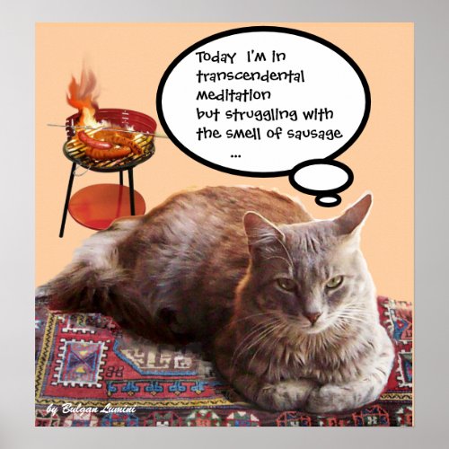 TURKISH CAT IN  TRANSCENDENTAL MEDITATION POSTER