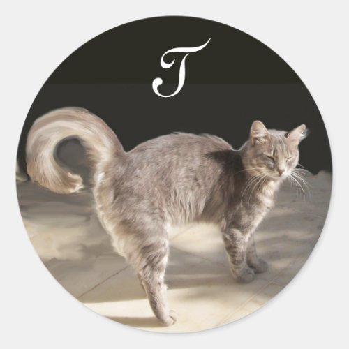 TURKISH CAT Monogram Classic Round Sticker