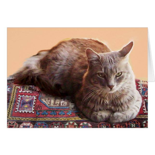 TURKISH CAT ON THE ANTIQUE CARPET CARDS (Front Horizontal)