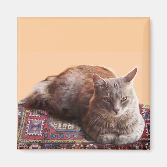 TURKISH CAT ON THE OLD CARPET MAGNET (Front)