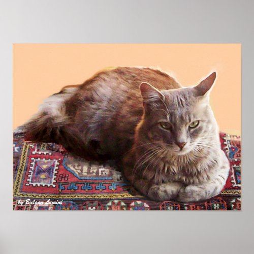 TURKISH CAT ON THE OLD CARPET POSTER