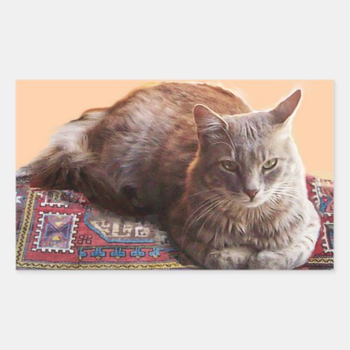 TURKISH CAT ON THE OLD CARPET RECTANGULAR STICKER