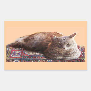 TURKISH CAT ON THE OLD CARPET RECTANGULAR STICKER