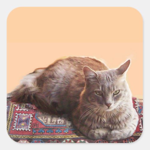 TURKISH CAT ON THE OLD CARPET SQUARE STICKER