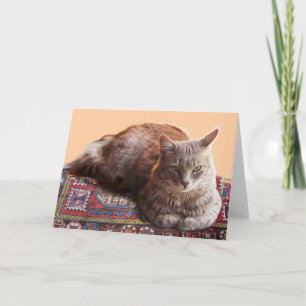 TURKISH CAT SITTING ON THE OLD CARPET CARD