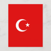 Turkish flag (Back)