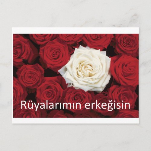 TURKISH LOVE Youre the man of my dreams Postcard