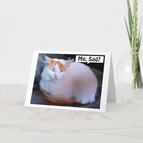 TURKISH VAN CAT IS SO SAD MISS U AT CHRISTMAS HOLIDAY CARD