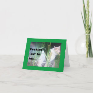 TURKISH VAN PEEKS OUT TO SAY HAPPY BIRTHDAY LETTERPRESS THANK YOU CARD
