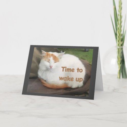 TURKISH VAN SAYS GOODBYE TO YOU CARD