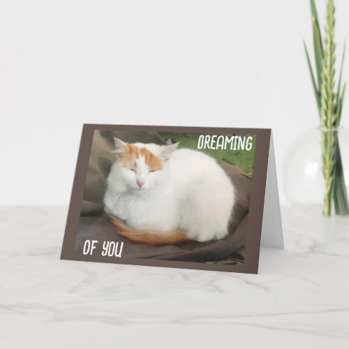 TURKISH VAN SAYS HAPPY BIRTHDAY TO YOU CARD