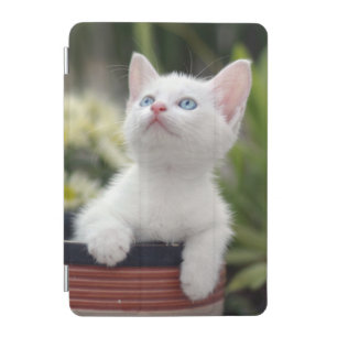 Turkish White Kitten iPad Mini Cover