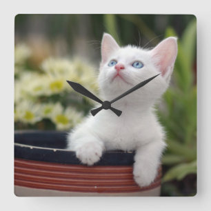 Turkish White Kitten Square Wall Clock