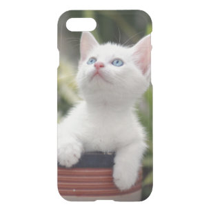 Turkish White Kitten iPhone SE/8/7 Case