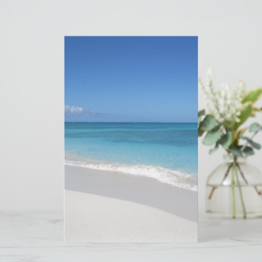 Turks and Caicos Dream Beach (Standing Front)