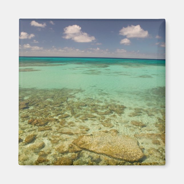 Turks and Caicos, Grand Turk Island, Cockburn 2 Magnet (Front)