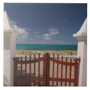 Turks and Caicos, Grand Turk Island, Cockburn 5 Tile