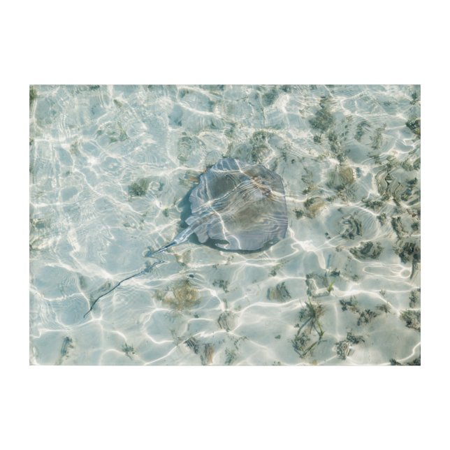 Turks and Caicos Islands Acrylic Wall Art (Front)