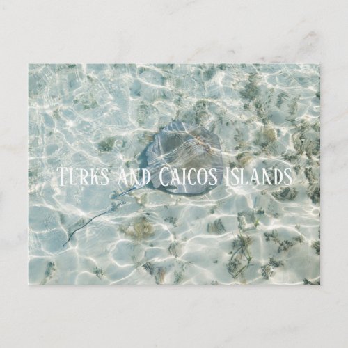 Turks and Caicos Islands Postcard