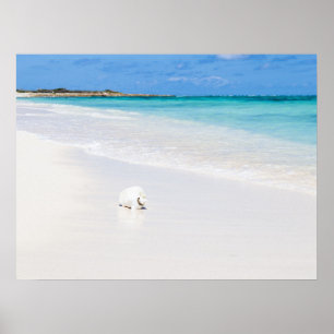 Turks and Caicos Islands Poster