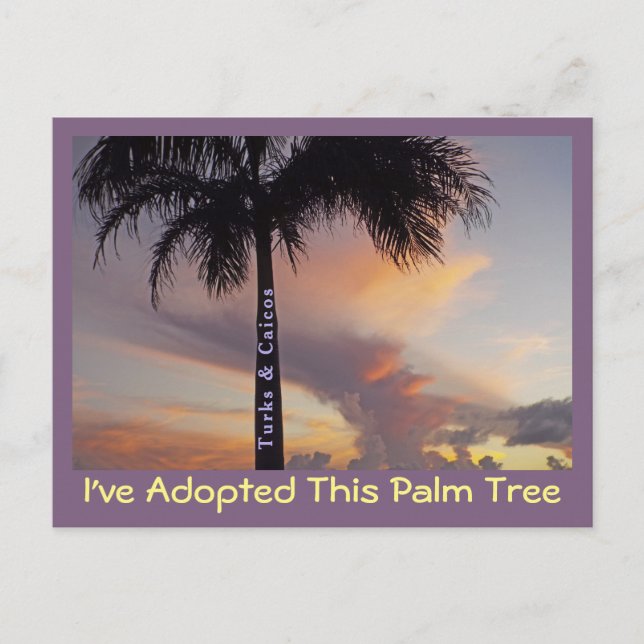 TURKS AND CAICOS POSTCARD/"I'VE ADOPTED PALM TREE POSTCARD (Front)