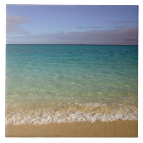 Turks and Caicos Providenciales Island Grace 2 Ceramic Tile