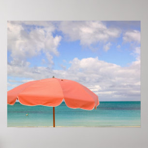 Turks and Caicos, Providenciales Island, Grace Poster