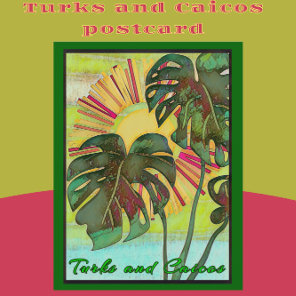 Turks and Caicos Tropical Paradise Art Postcard