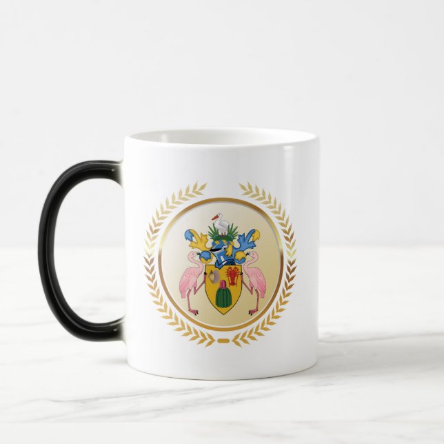 Turks & Caicos Coat Of Arms Color Morph Mug (Left)