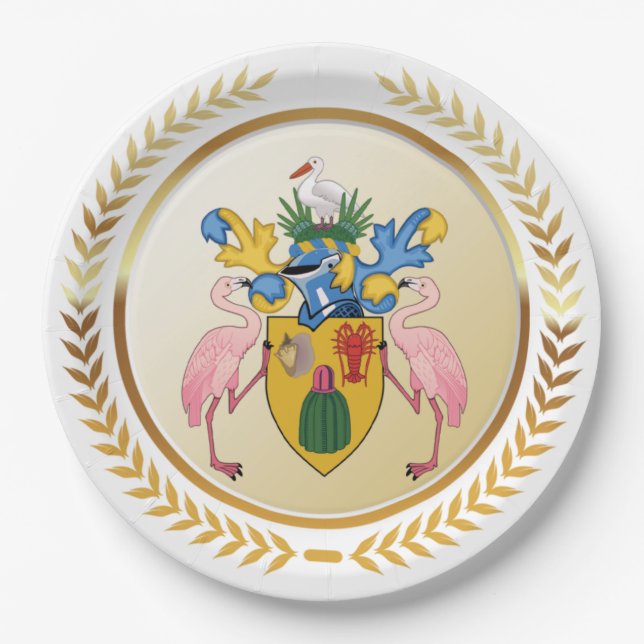 Turks & Caicos Coat Of Arms Paper Plates (Front)