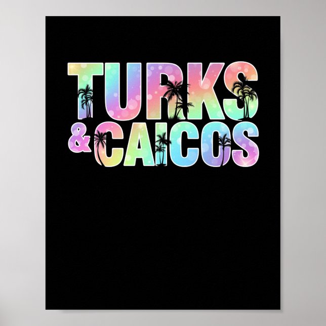 Turks & Caicos Palm Trees Souvenir Poster (Front)
