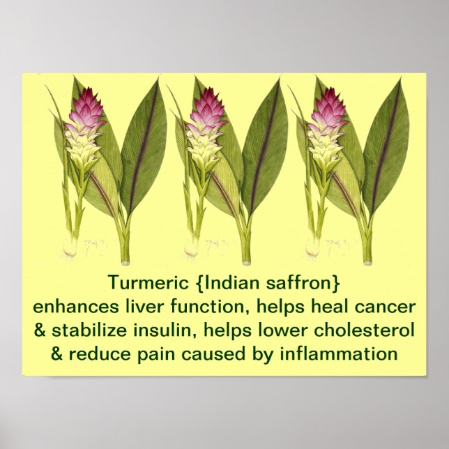 Turmeric Poster (Front)