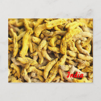 Turmeric roots postcard