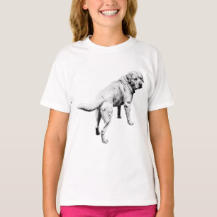 Turn-Back Lab, Easy Stride T-Shirt